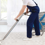 The Power of Clean: Unleashing the Potential of Professional Carpet Cleaning
